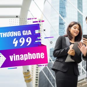 Thương gia 499