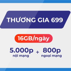 Thương gia 699