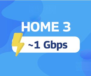 Home 3