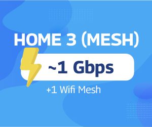 Home 3 - Mesh