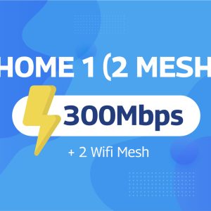 Home 1 - 2 Mesh