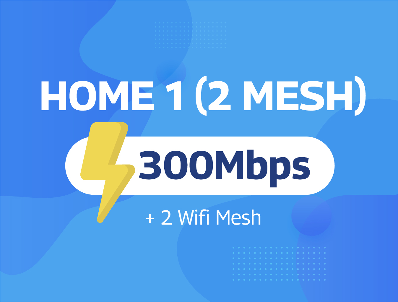 Home 1 - 2 Mesh
